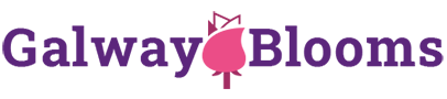 galwayblooms.com