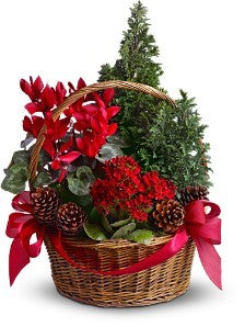 Conifer Basket