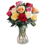 Dozen Assorted Roses