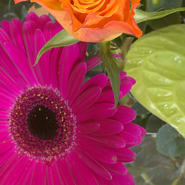 Kaleidoscope Bouquet