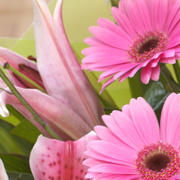 Lilies, Rose & Gerbera