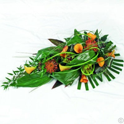 Mango Calla