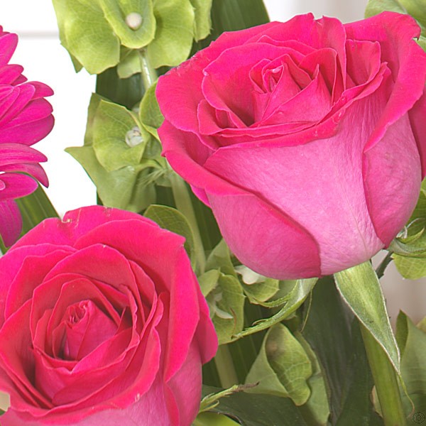 Opulent Bouquet