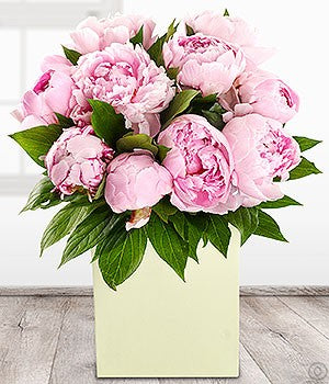 Perfect Peonies