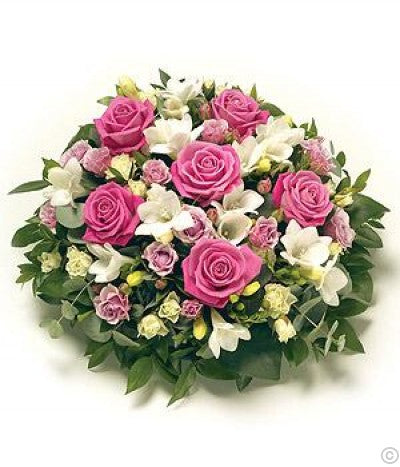 Posy Pink & White