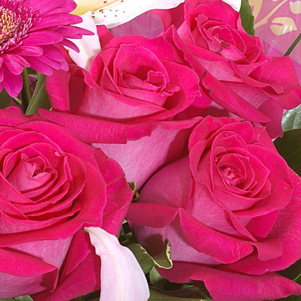 Raspberry Ripple – galwayblooms.com