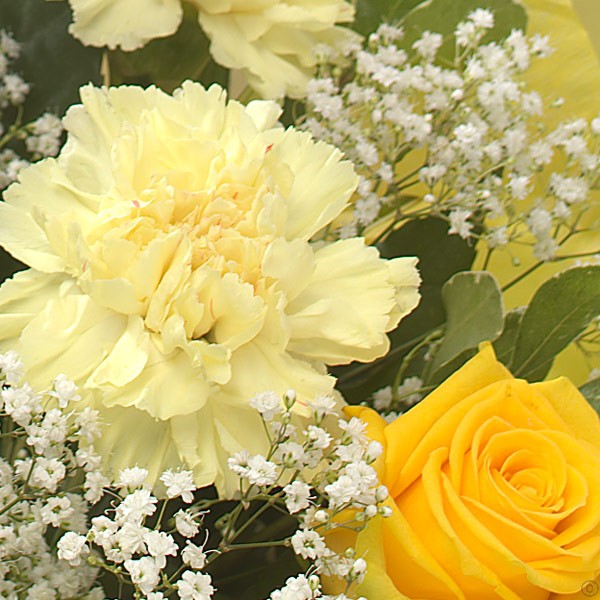 Rose & Carnation Bouquet