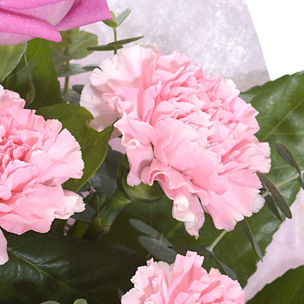 Rose & Carnation Delight