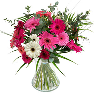 Simply Gerberas