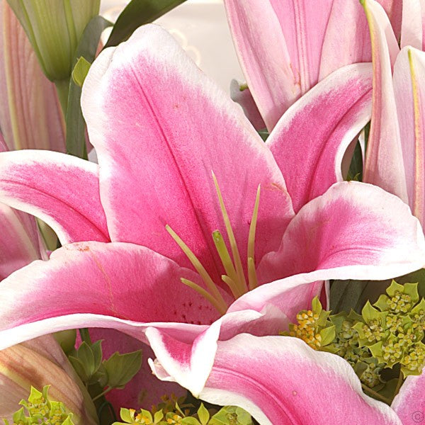 Sumptuous Lily Hand-tied