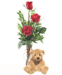 Teddy Bear & Roses In A Vase