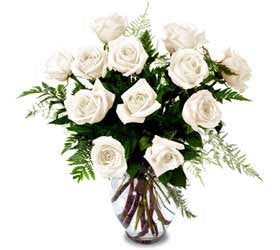 Dozen White Roses