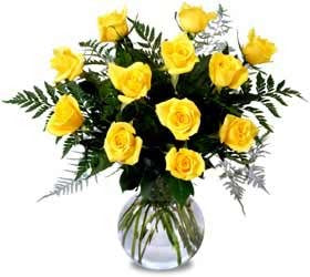 Dozen Yellow Roses