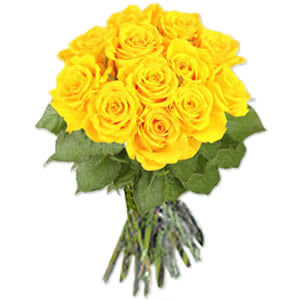 Dozen Yellow Roses